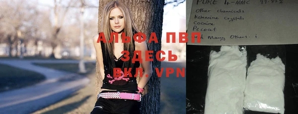 прущие крисы Алзамай